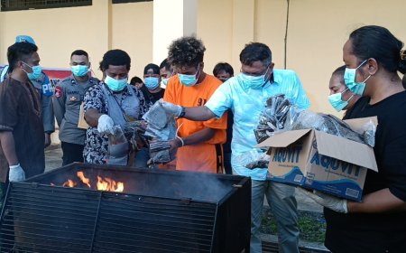 Polda Papua Barat Musnahkan 5 kilogram Ganja
