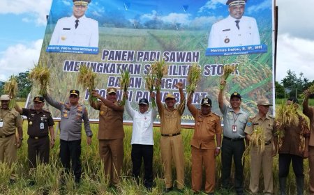 Nilai Tukar Petani Papua Barat Turun 0,24 persen