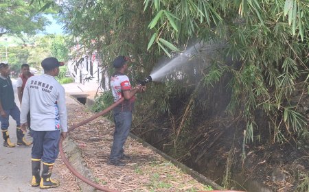 Sempat Membuat Panik, Damkar Papua Barat Berhasil Padamkan Kebakaran Lahan Kosong