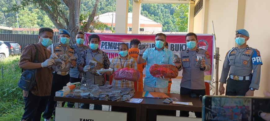 Polda Papua Barat Musnahkan 5 kilogram Ganja