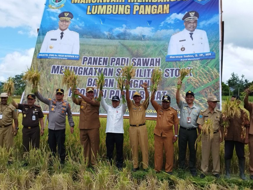 Nilai Tukar Petani Papua Barat Turun 0,24 persen