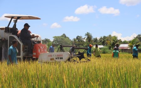 Waterpauw Harap Bintuni Jadi Lumbung Pangan Papua Barat