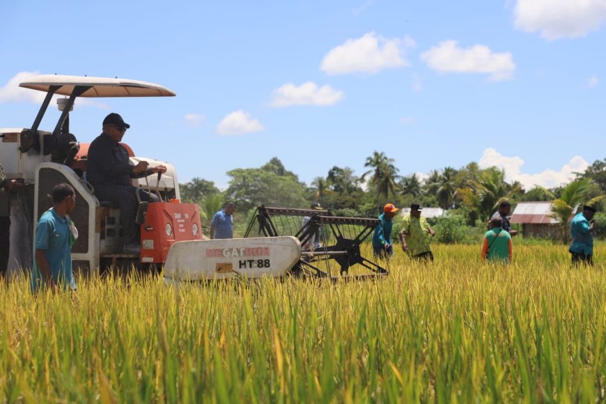 Waterpauw Harap Bintuni Jadi Lumbung Pangan Papua Barat