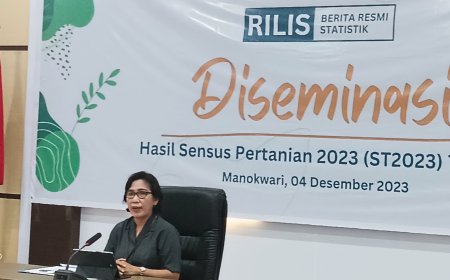 RTUP dan UTP Papua Barat Meningkat Pada 10 Tahun Terakhir