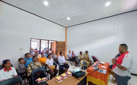 Dinkes Papua Barat Lakukan Sosialisasi Basmi Sarang Nyamuk DBD di Distrik Wondiboi Wondama
