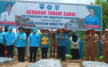 Pemenuhan kebutuhan, TP PKK Manokwari Tanam 1.000 Bibit Cabai