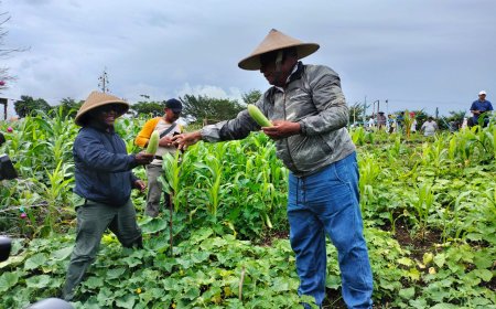 Pj Sekda Yacob Fonataba Bantah Pernyataan Lahan Susweni Tak Berdampak ke Masyarakat