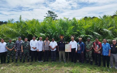 Kunjungi Pembibitan Kelapa Sawit Wasegi, Mentan Minta Tambah Luas Lahan Perkebunan