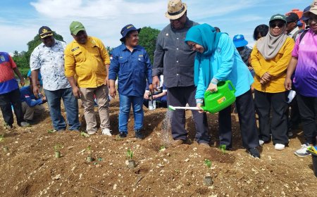 Pj Gubernur Ali Baham Canangkan Penanaman Komoditas Penyumbang Inflasi di Lahan Susweni