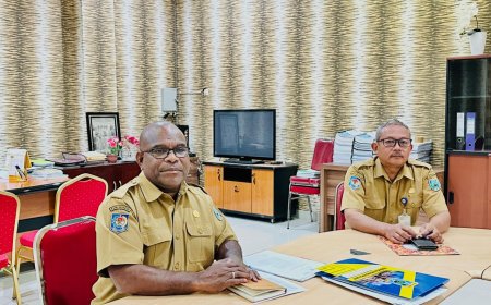 Dinas Peternakan Papua Barat Sebut Bantuan DOC Ayam Petelur Tahun 2023 Tak Sampai 5.000 Ekor