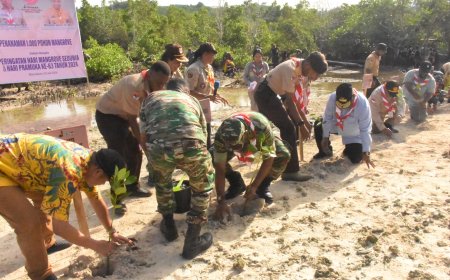 Perbaiki Ekosisten, 1.000 Pohon Mangrove Ditanam di Pesisir Sowi