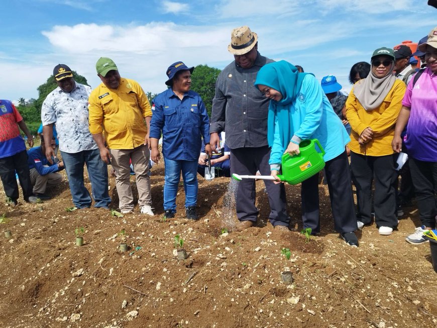 Pj Gubernur Ali Baham Canangkan Penanaman Komoditas Penyumbang Inflasi di Lahan Susweni