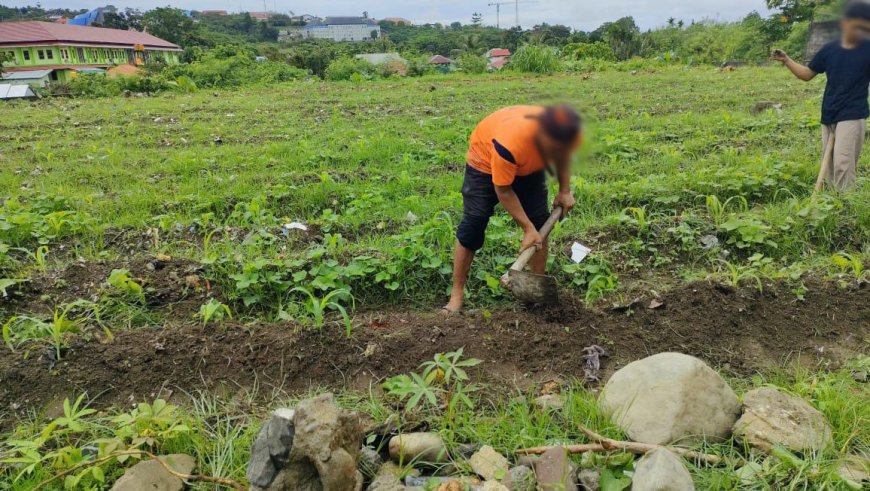 Warga Binaan Lapas Manokwari Dilatih Bidang Pertanian