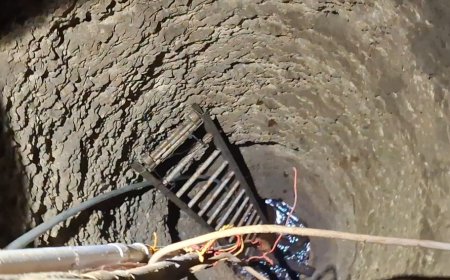 Tim Damkar Papua Barat Selamatkan Anjing Masuk Sumur