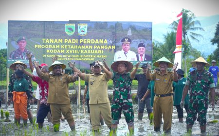 Kodam Kasuari Tanam Padi Perdana, Bentuk Wujudkan Ketahanan Pangan