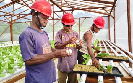 Panen Perdana Kangkung, Tangguh Dorong Keberlanjutan Lewat Kebun Hidroponik