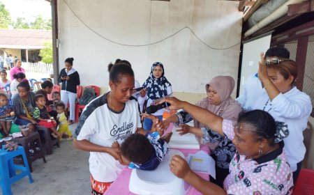 HKN ke-60 Tahun, Dua Masalah Kesehatan Menjadi Tugas Berat Pemprov Papua Barat