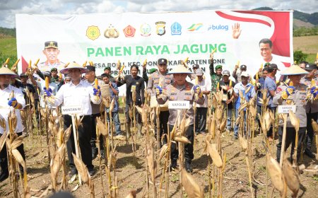 Kapolri-Mentan Panen Raya Jagung di Bone