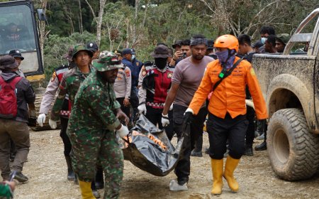 Pencarian Hari ke 5 Bencana di Pegaf, Tim Gabungan Temukan satu Korban