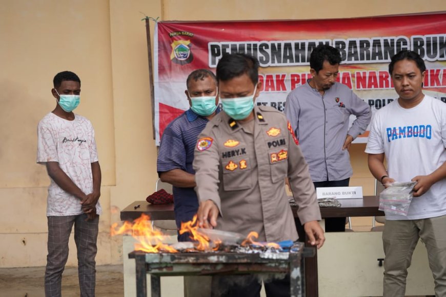 Polda Papua Barat Musnahkan BB Narkoba Jenis Ganja 353,99 Gram