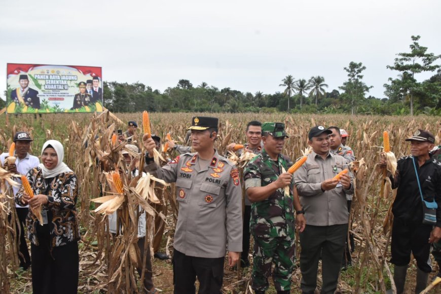 Polda Papua Barat Gelar Panen Raya Jagung Serentak Kuartal II