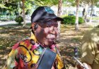 BKD Papua Barat Proses 1.002 Honorer Tanpa Menunggu Kuota Tambahan