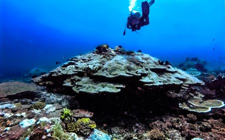 Expedisi Journey 2025, Buka Jalur Wisata Papua Barat