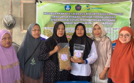 UMPB Inovasi Pakan Ternak "nutriaima-v17 plus" di Kampung Aimasi