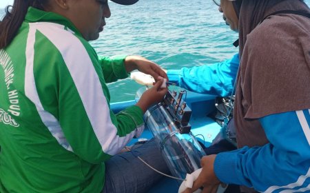 Pertamina Patra Niaga Regional Papua Maluku dan DLH Lindungi dan Melestarikan Ekosistem Pesisir Laut Waupnor