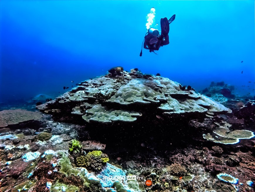 Expedisi Journey 2025, Buka Jalur Wisata Papua Barat