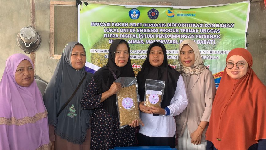UMPB Inovasi Pakan Ternak "nutriaima-v17 plus" di Kampung Aimasi