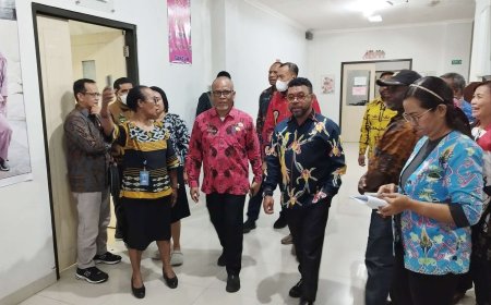 Komite III DPD-RI Sambangi RSUP Papua Barat, Butuh Renovasi Hingga Tambahan Dokter Spesialis