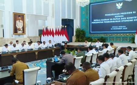 Presiden Prabowo Tegaskan Swasembada Pangan Papua, Mentan Amran Targetkan Cetak 100 Ribu Hektare Sawah