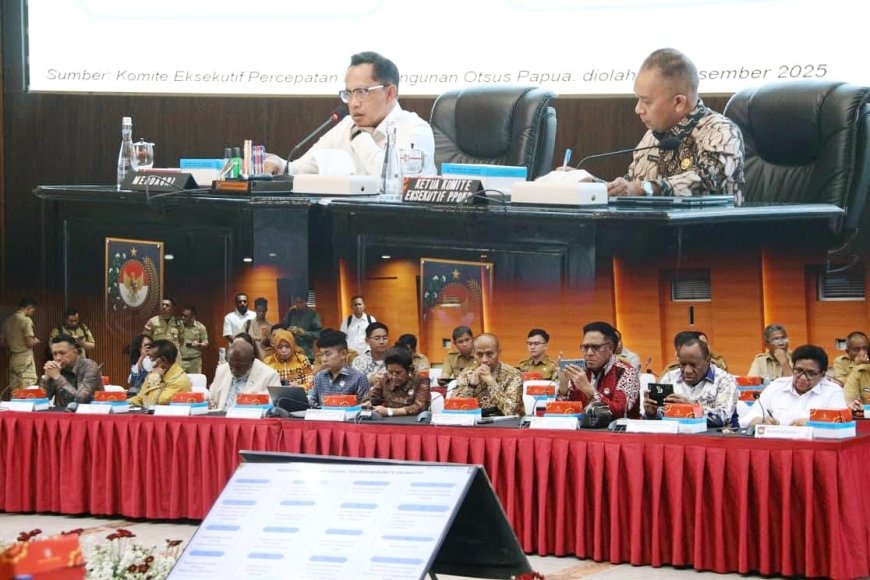 Komite Percepatan Papua Berperan Sebagai Jembatan Sinkronisasi Program Pusat ke Daerah