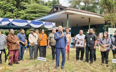 HPN 2026: PWI Papua Barat Kampanyekan Pelestarian Lingkungan Lewat Tanam dan Bagi Bibit Pohon