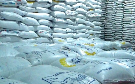 Bulog Manokwari Jamin Kualitas Beras dan Minyak Goreng Bantuan Pangan Aman Dikonsumsi