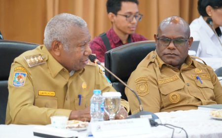 Papua Barat Usulkan Penguatan Fiskal dan Fleksibilitas Dana Otsus
