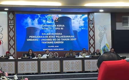 DPD RI Serap Aspirasi Forkopimda Papua Barat Soal Energi Terbarukan