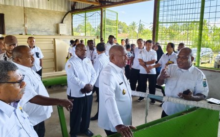 Gubernur Papua Barat Tinjau Progres Pabrik Pakan Ternak di Masni, Target Operasi 2027