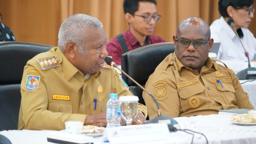 Papua Barat Usulkan Penguatan Fiskal dan Fleksibilitas Dana Otsus