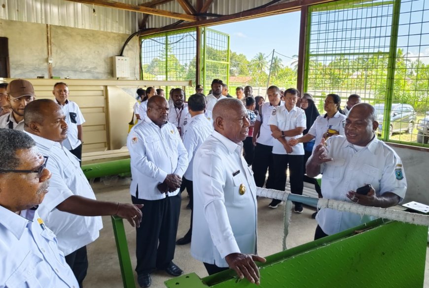 Gubernur Papua Barat Tinjau Progres Pabrik Pakan Ternak di Masni, Target Operasi 2027