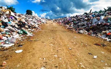 TPA Manokwari Over Kapasitas, Sampah Meluber ke Bahu Jalan