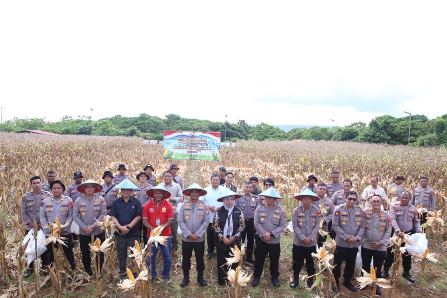 Polda Papua Barat Gelar Panen Raya Jagung, Dukung Swasembada Pangan Nasional