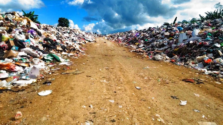 TPA Manokwari Over Kapasitas, Sampah Meluber ke Bahu Jalan