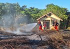 Tiga Kebakaran Terjadi dalam Sehari, Damkar Papua Barat Imbau Warga Waspada Bahaya Karhutla