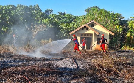 Tiga Kebakaran Terjadi dalam Sehari, Damkar Papua Barat Imbau Warga Waspada Bahaya Karhutla