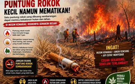 Musim Kemarau, Pemprov Papua Barat Ingatkan Bahaya Puntung Rokok Hingga Pembakaran Lahan