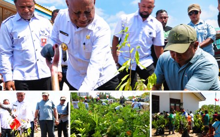 Dinas Kehutanan Papua Barat Bagikan 2.000 Bibit Pohon Gratis, Dorong Gerakan Menanam dari Pekarangan Rumah