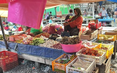 Tim Ekspedisi Patriot UNAIR Petakan Potensi Prafi sebagai Sentra Pangan dan Ekonomi Manokwari