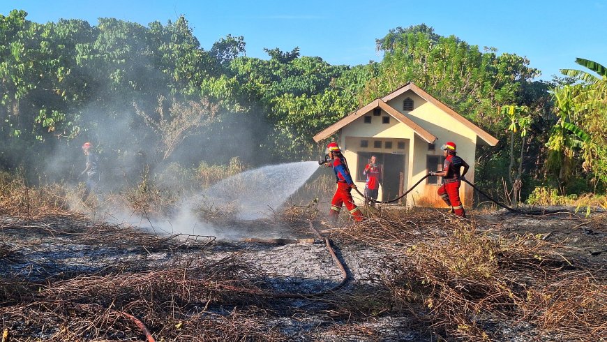 Tiga Kebakaran Terjadi dalam Sehari, Damkar Papua Barat Imbau Warga Waspada Bahaya Karhutla